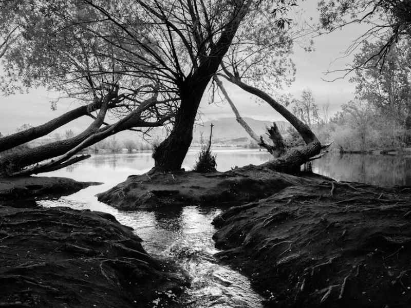 soul river, bone dry by Maxwell Harris | Winner 2025 Rural Teen Writing&nbsp;Contest